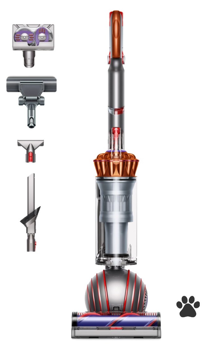 Dyson Ball Animal Multi-floor